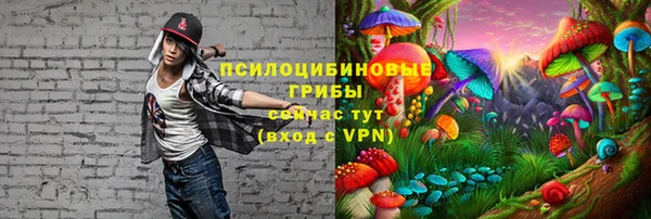 дмт Алексеевка