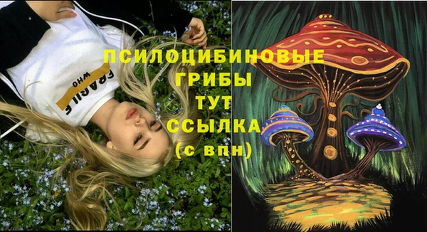 дмт Алексеевка