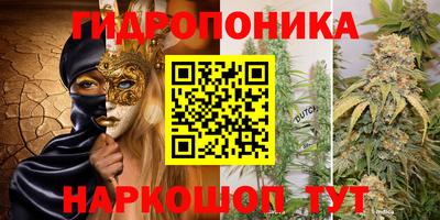 прущие грибы Пенза