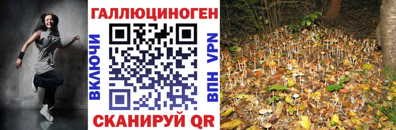 Галлюциногенные грибы Magic Shrooms  Тайшет 